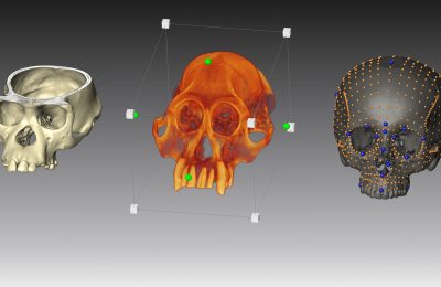 Virtual Anthropology and Geometric Morphometrics