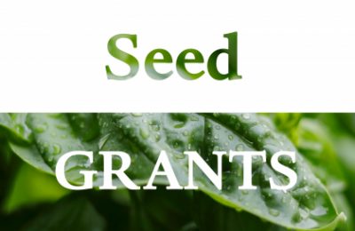 HEAS Seed Grants Awarded