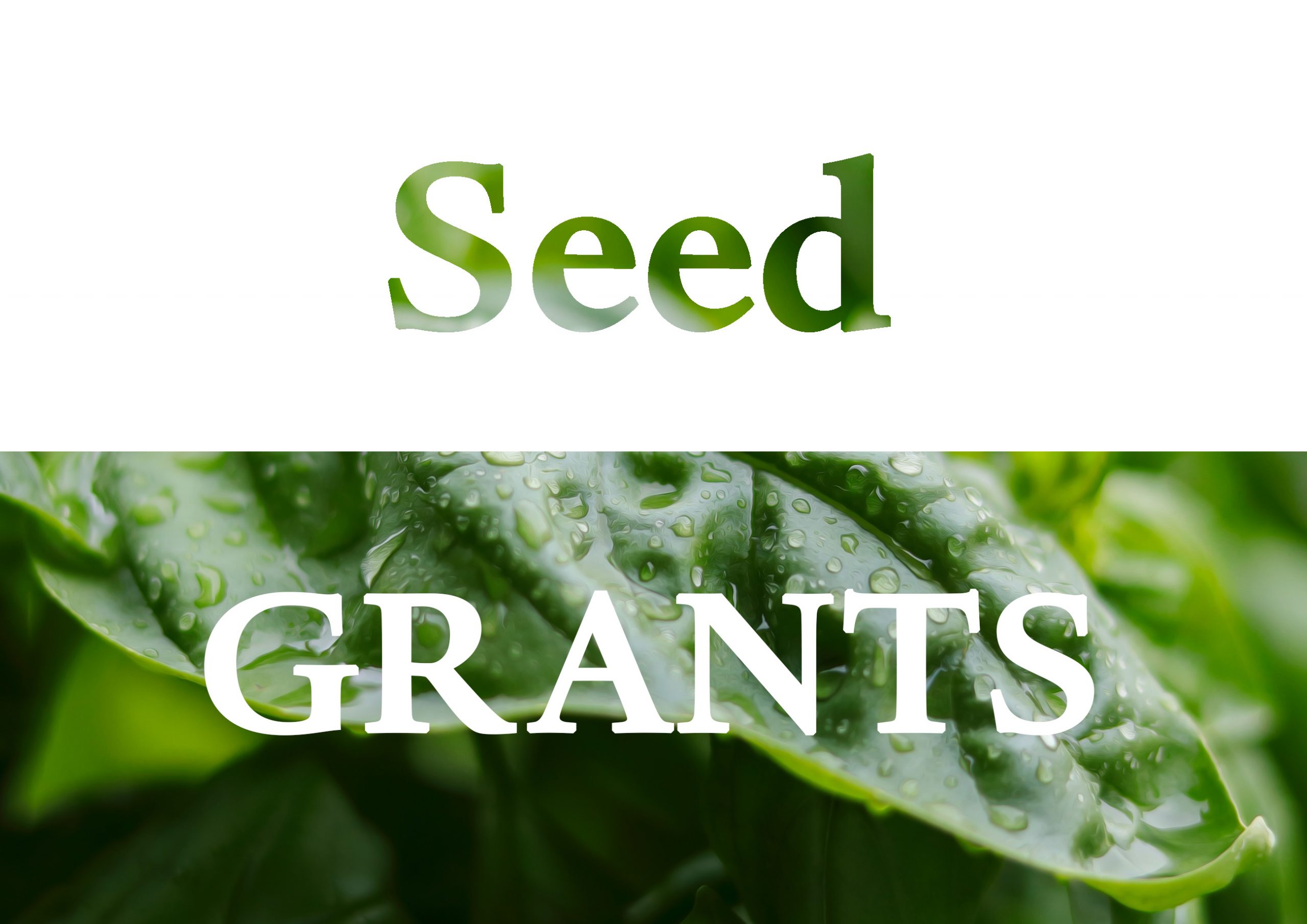 HEAS Seed Grants