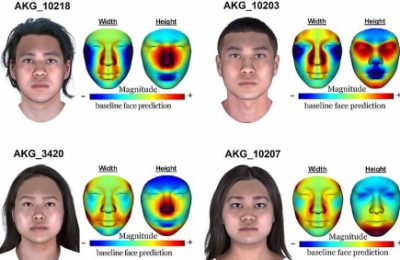 HEAS team members from the Dept. of Evolutionary Anthropology have obtained the first ancient DNA data from the Korean Three Kingdoms period. Eight 1,700-year-old ancient Korean genomes have been sequenced.