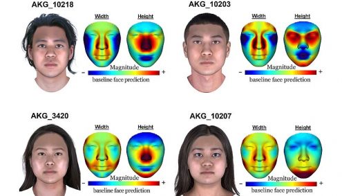 human faces and digital analysis