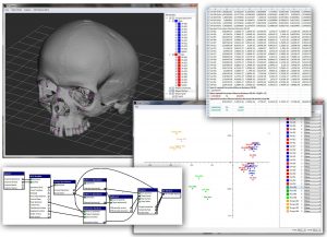 A Screenshot of the EVAN Toolbox in action