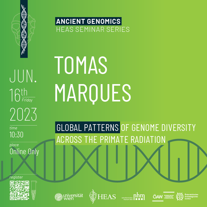 Tomas Marques online poster