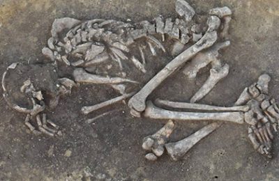 HEAS in the News – oldest plague victims in Austria identified by HEAS Member Katharina Rebay-Salisbury