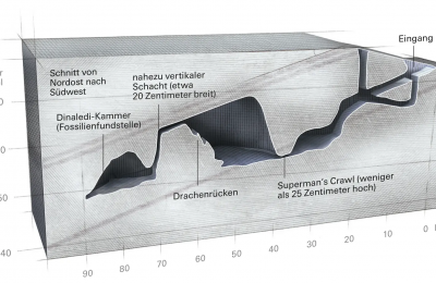 HEAS Member Gerhard Weber interviewed for Spektrum on Homo naledi Cave