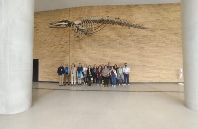 OeAW Early Career Researchers Visit the UBB