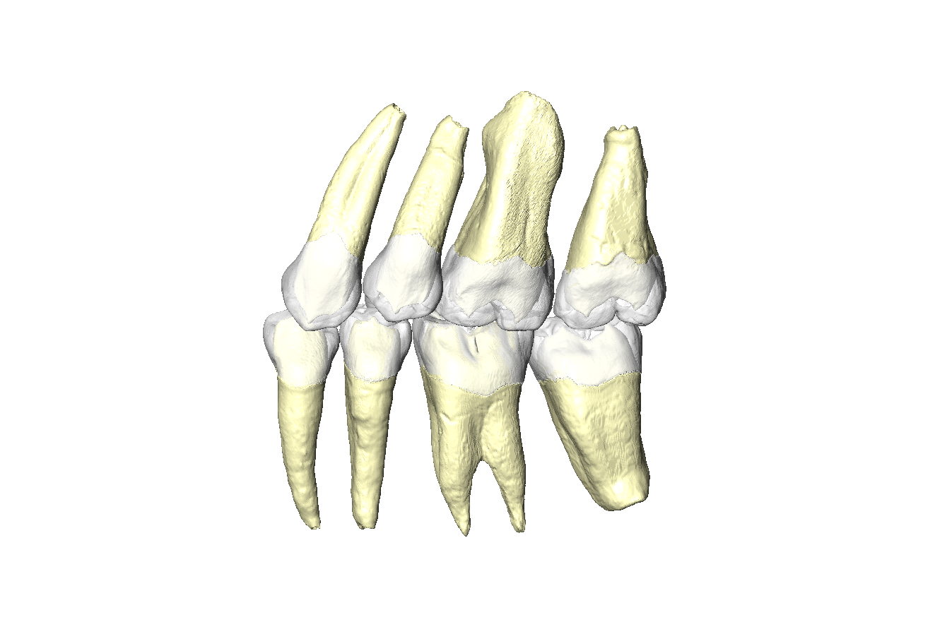 Teeth for Weber
