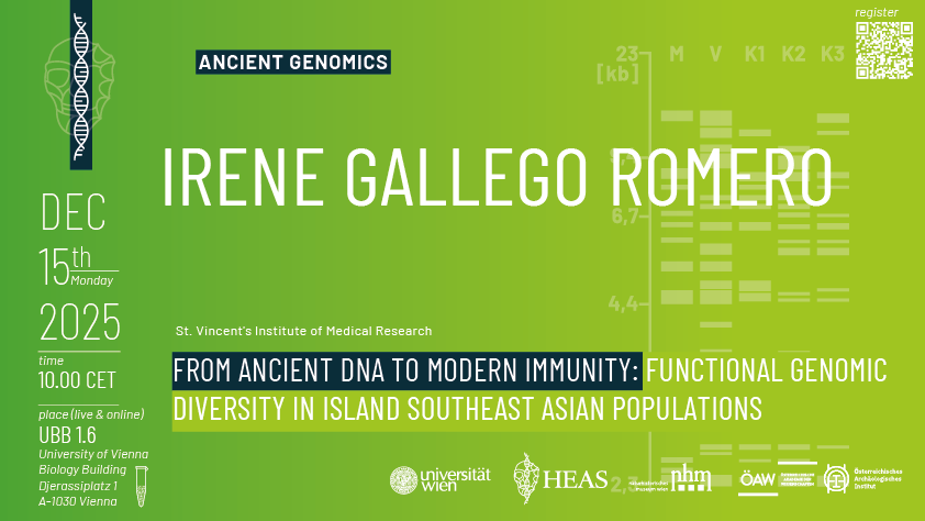 Irene Gallego Romero