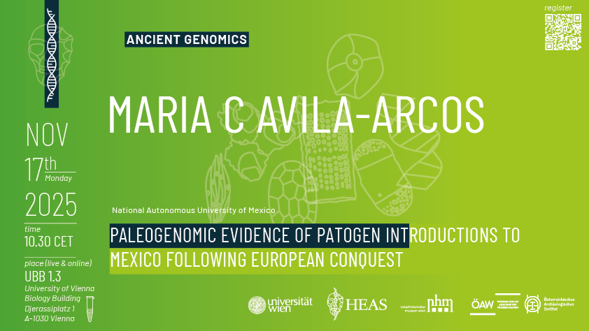 MARIA C AVILA-ARCOS