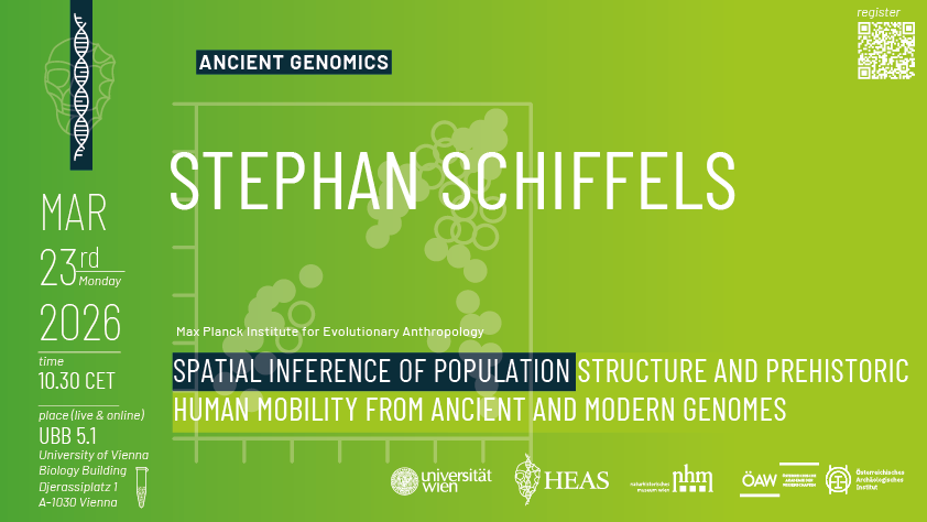 STEPHAN SCHIFFELS
