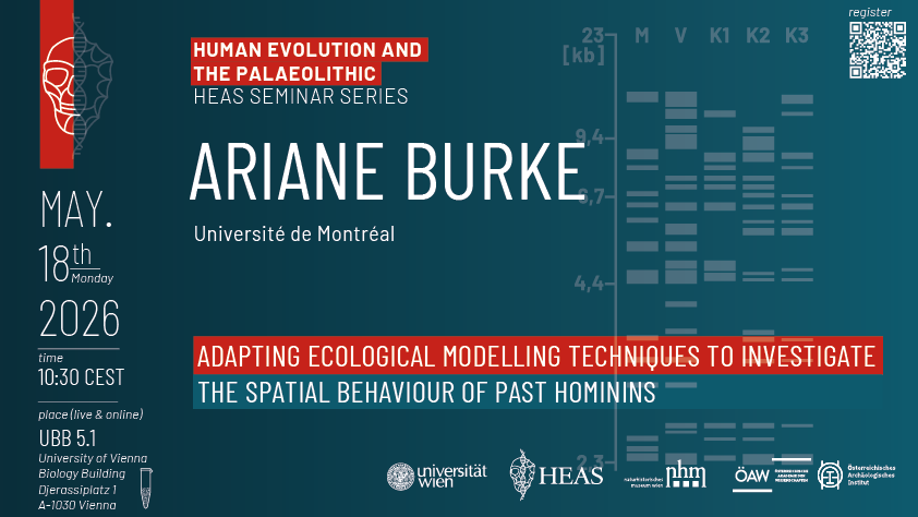 Ariane Burke