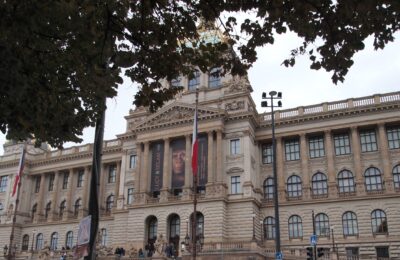 HEAS Members Travel to See the Lucy Skeleton – In Europe for the First Time