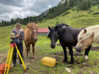 Valentina Laaha: Have you ever wondered how it feels like to give therapy to a GPS-antenna and rover with heavy communication problems, while the locals swing by to openly doubt the success of your mission? Fear not - a picture says more than 1000 words and you can see it all here.     (Setup of a GPS-antenna for the measurement of outlines and other important geo-points during the excavation on the Grafenbergalm, Austria, visited by some very nosy locals.)