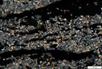 Thomas Beard - This is a high magnification (200x - scale in bottom right) microphotograph of plant ash that is ~35,000 years old, taken in cross-polarised light from a small fire feature in a thin section produced from Satsurblia Cave, Georgia. The square crystals (some are still forming!) are calcium oxalate which are present in plants and are all that remain when the rest of the organics burn off, the darker areas have indistinct fibers of charcoal."  