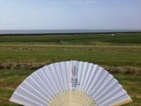 Fabian Siegle - Neuwerk with its lush green meadows and the Baltic Sea